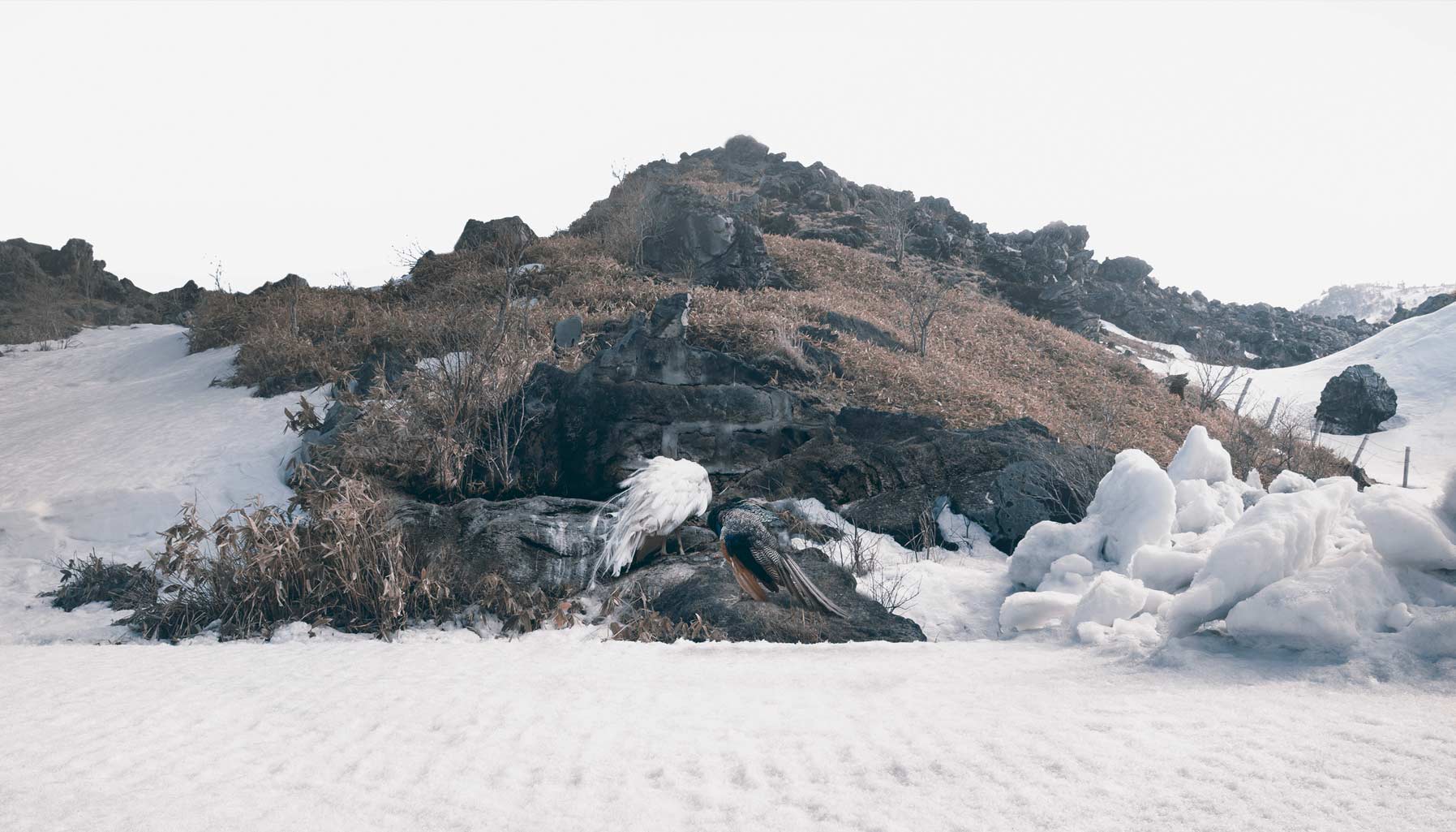 Singapore Art Week 2017