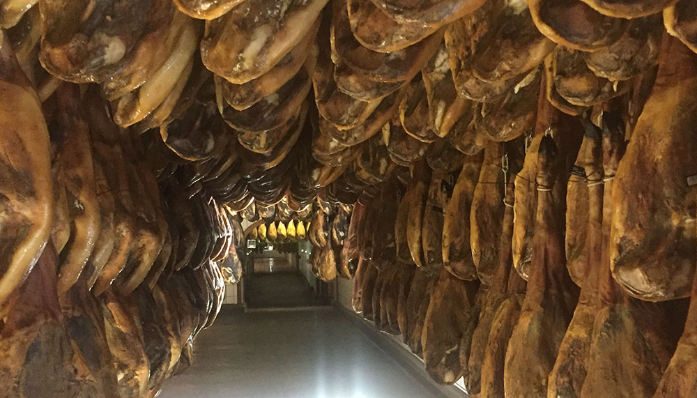 jamon iberico de bellota