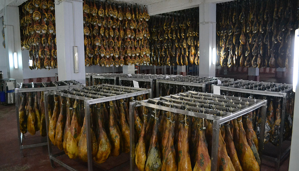 jamon iberico de bellota