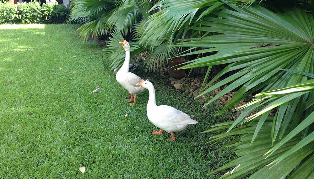 Belmond Govenor’s Residence, Myanmar