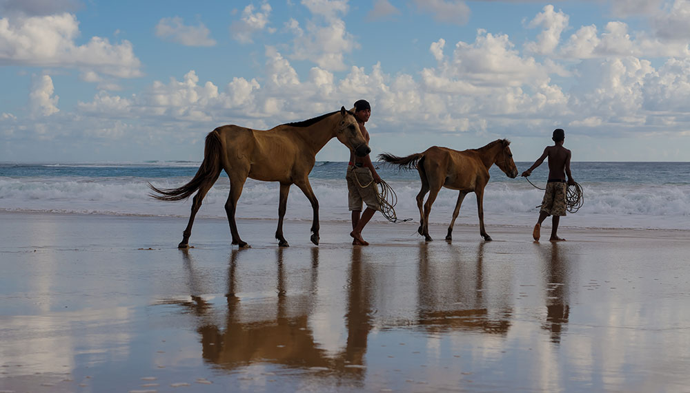 Horseback riding on the beach