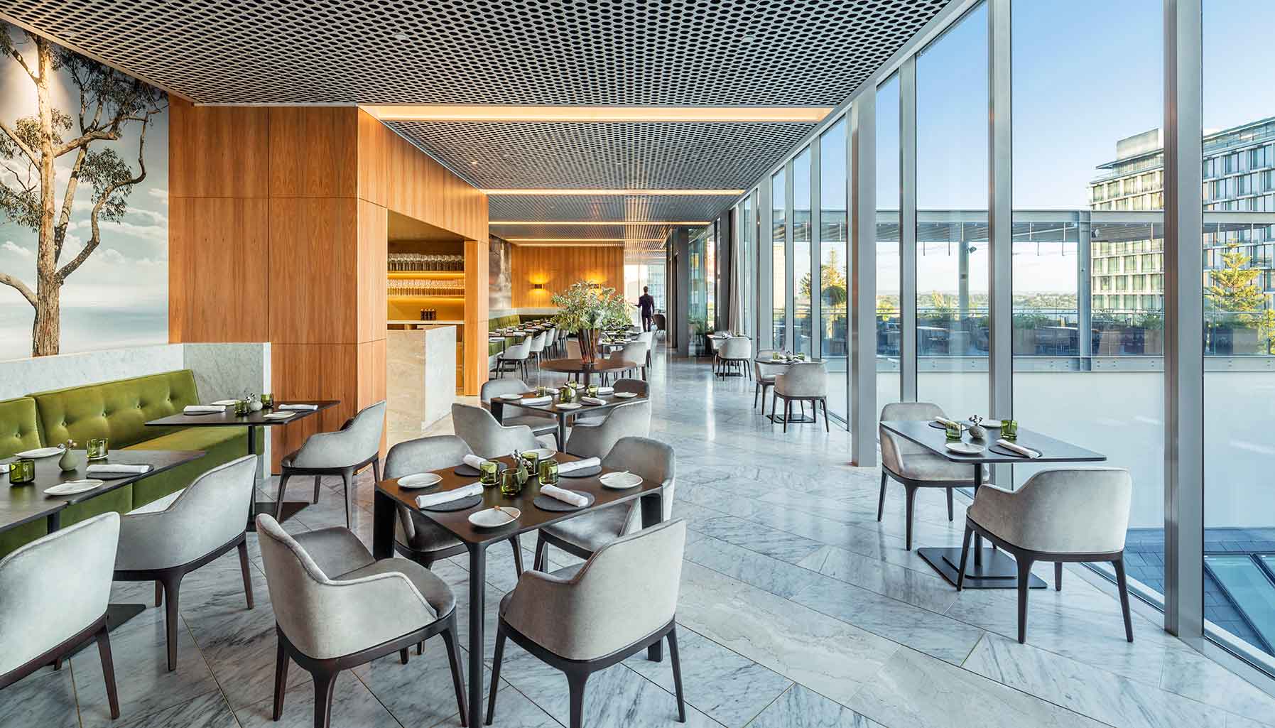 Wildflower, Como the Treasury, Perth, Australia