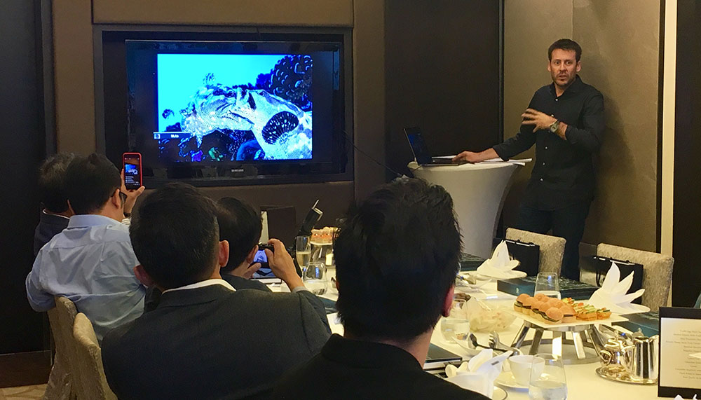 Laurent Ballesta, Blancpain