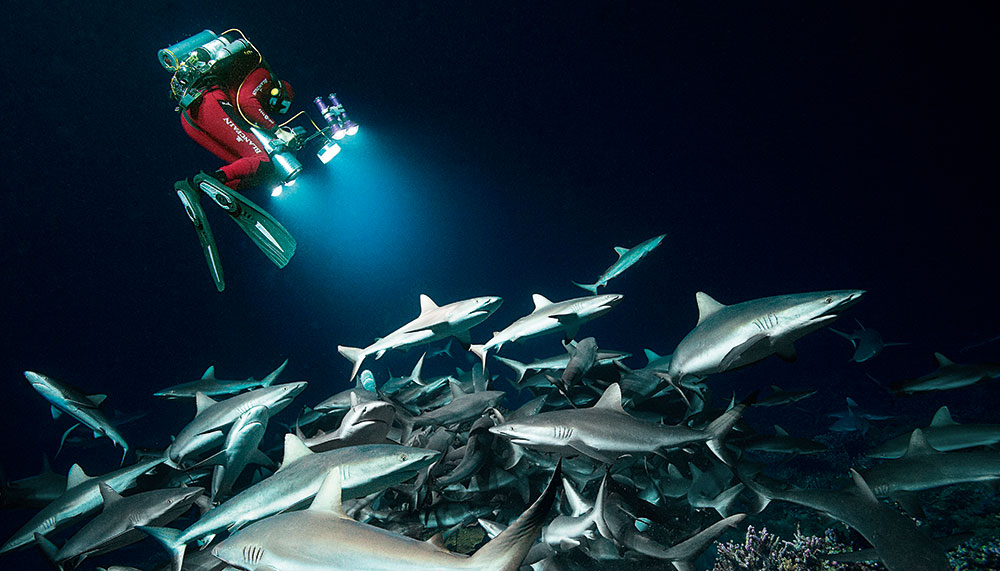 Laurent Ballesta, Blancpain